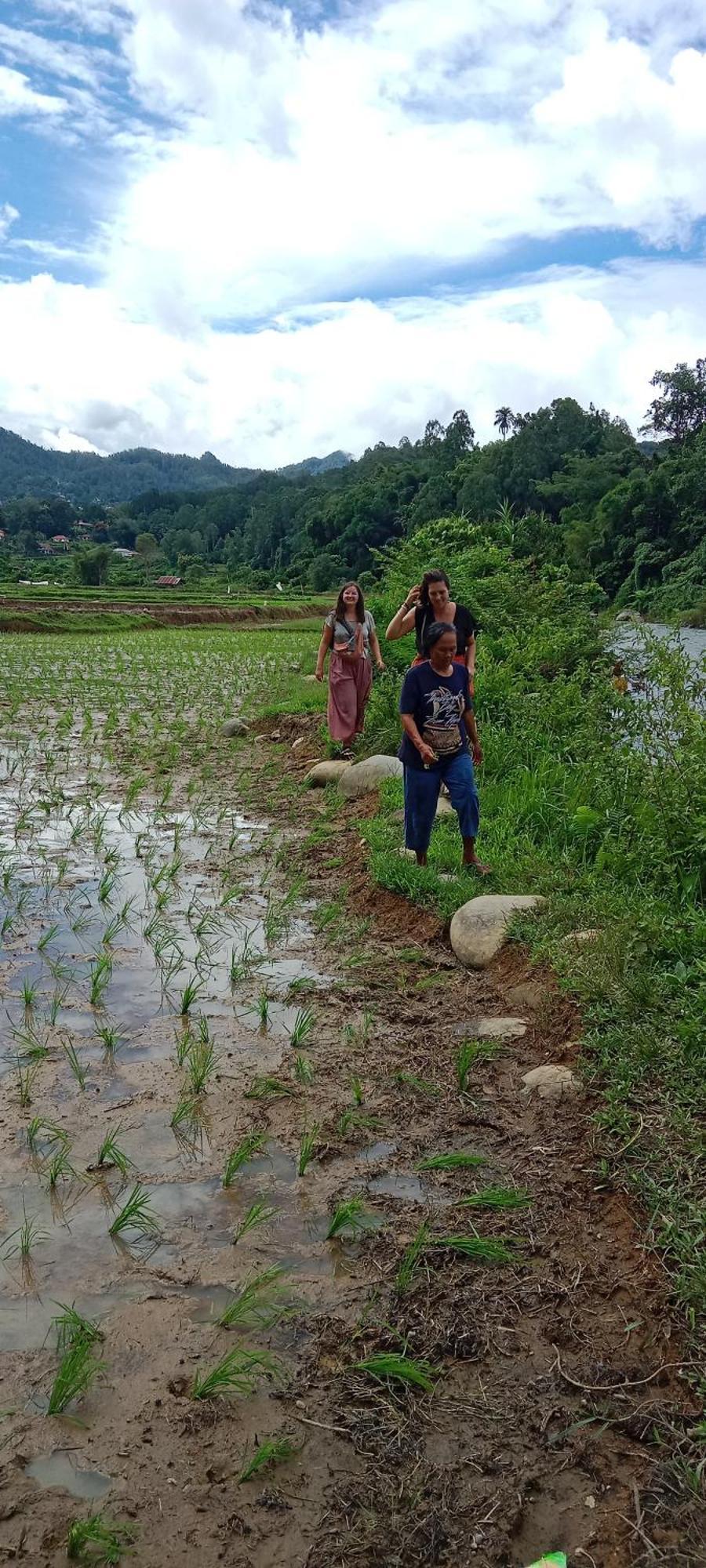 Toraja Sanggalangi Homestay 兰特包 外观 照片